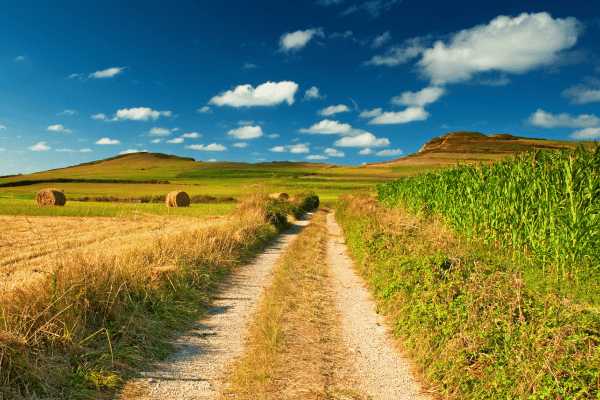 Farm Health and Safety Policy Template