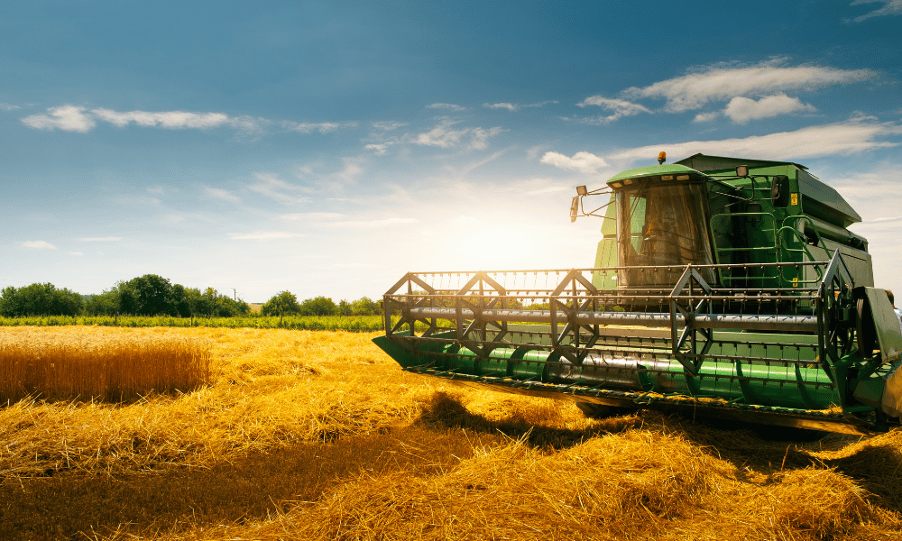 field size converter